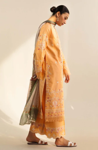 ZARA SHAHJAHAN MIRA-8B