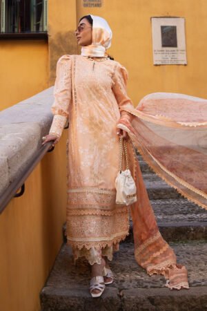 ANSAB JAHANGIR ALLURING APRICOT