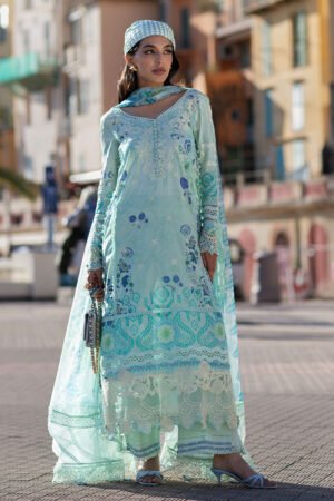 ANSAB JAHANGIR ICE CRYSTAL